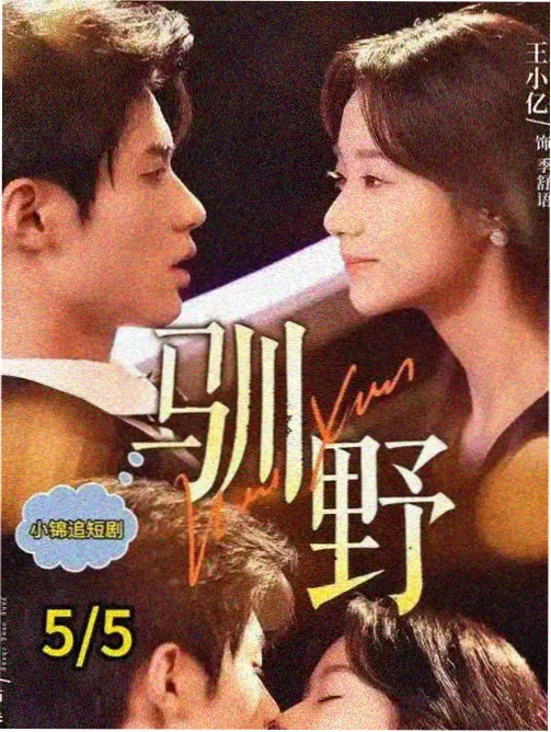 汉江之北 韩国职场现实剧海报